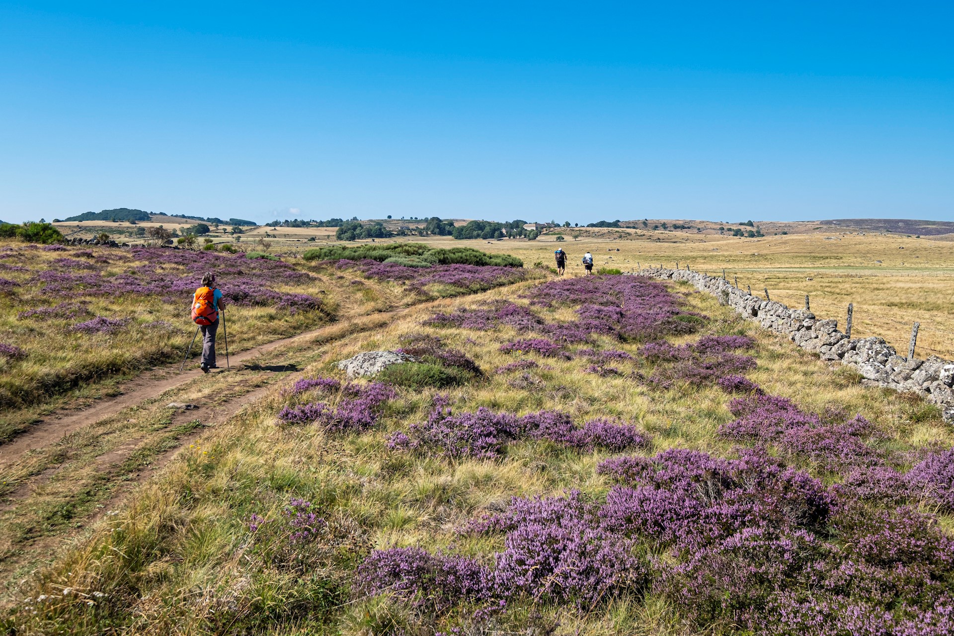 Franck GUIZIOU - HEMIS - Environs d'Aumont-Aubrac